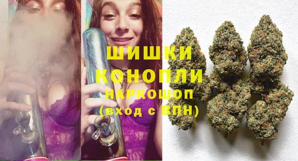 кокс Арсеньев