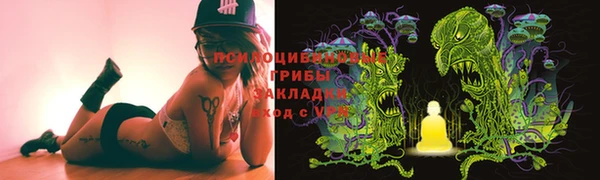 кокс Арсеньев