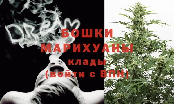 кокс Арсеньев