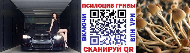 Галлюциногенные грибы Magic Shrooms  Купить где  Верхний Тагил 
